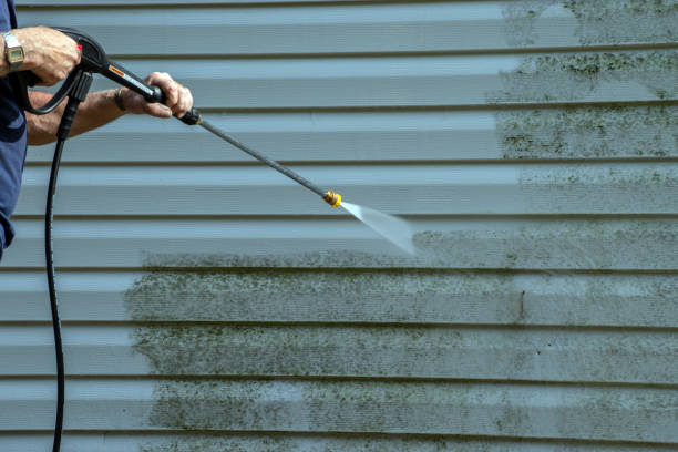 Best Roof Power Washing Services  in Hagerstown, IN